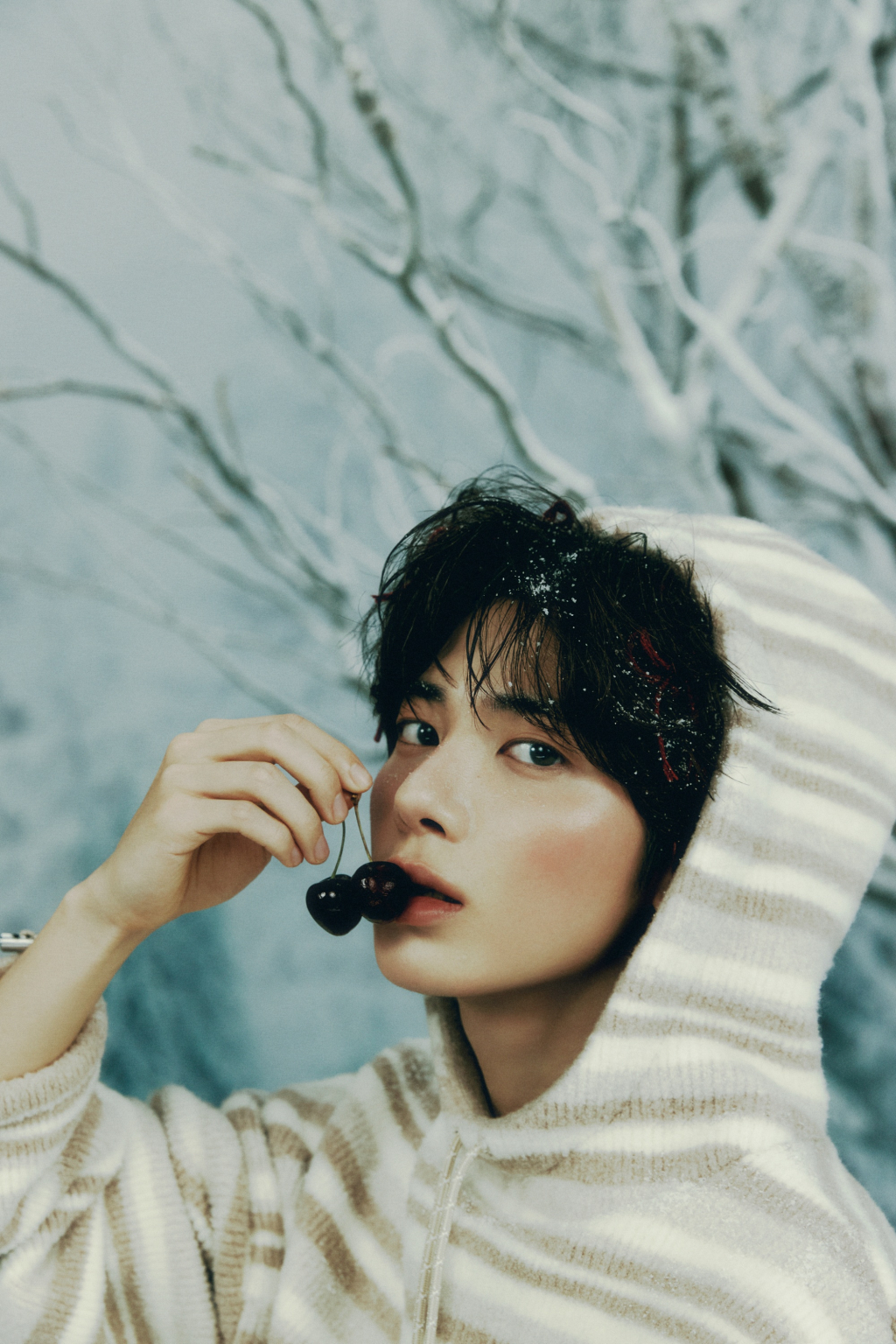 사진