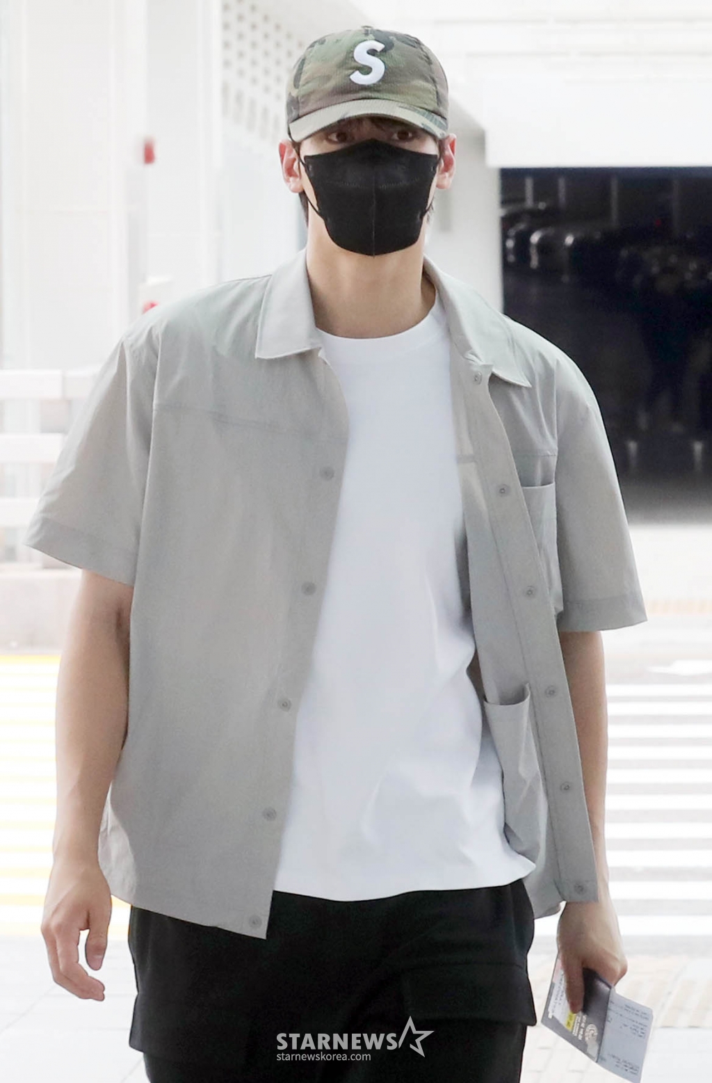 사진
