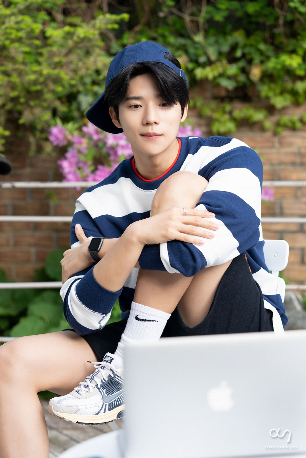 사진
