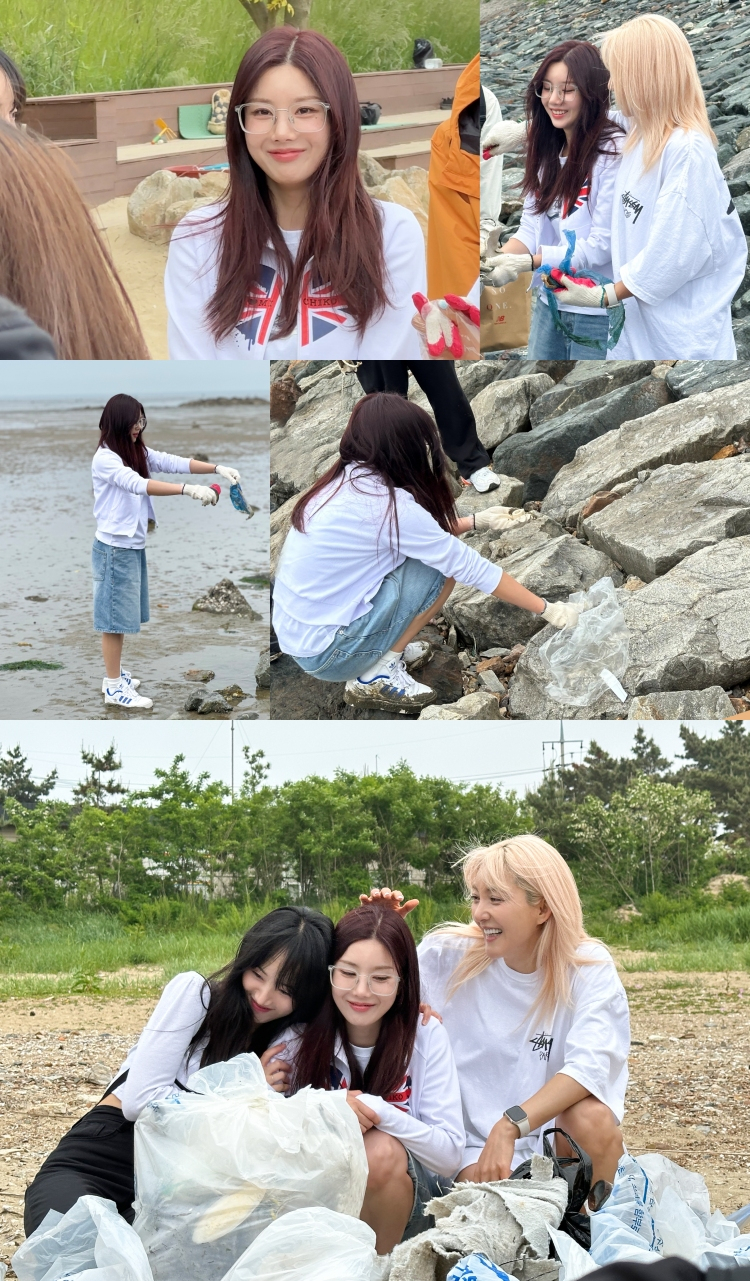 사진