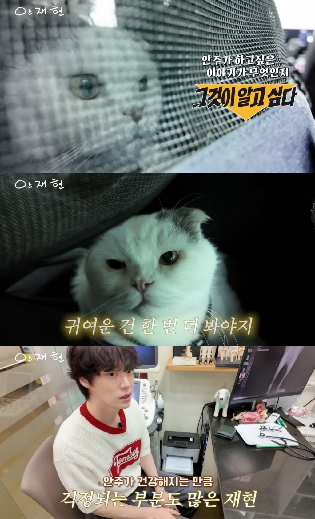 /사진=유튜브 채널 '안재현' 영상 캡처