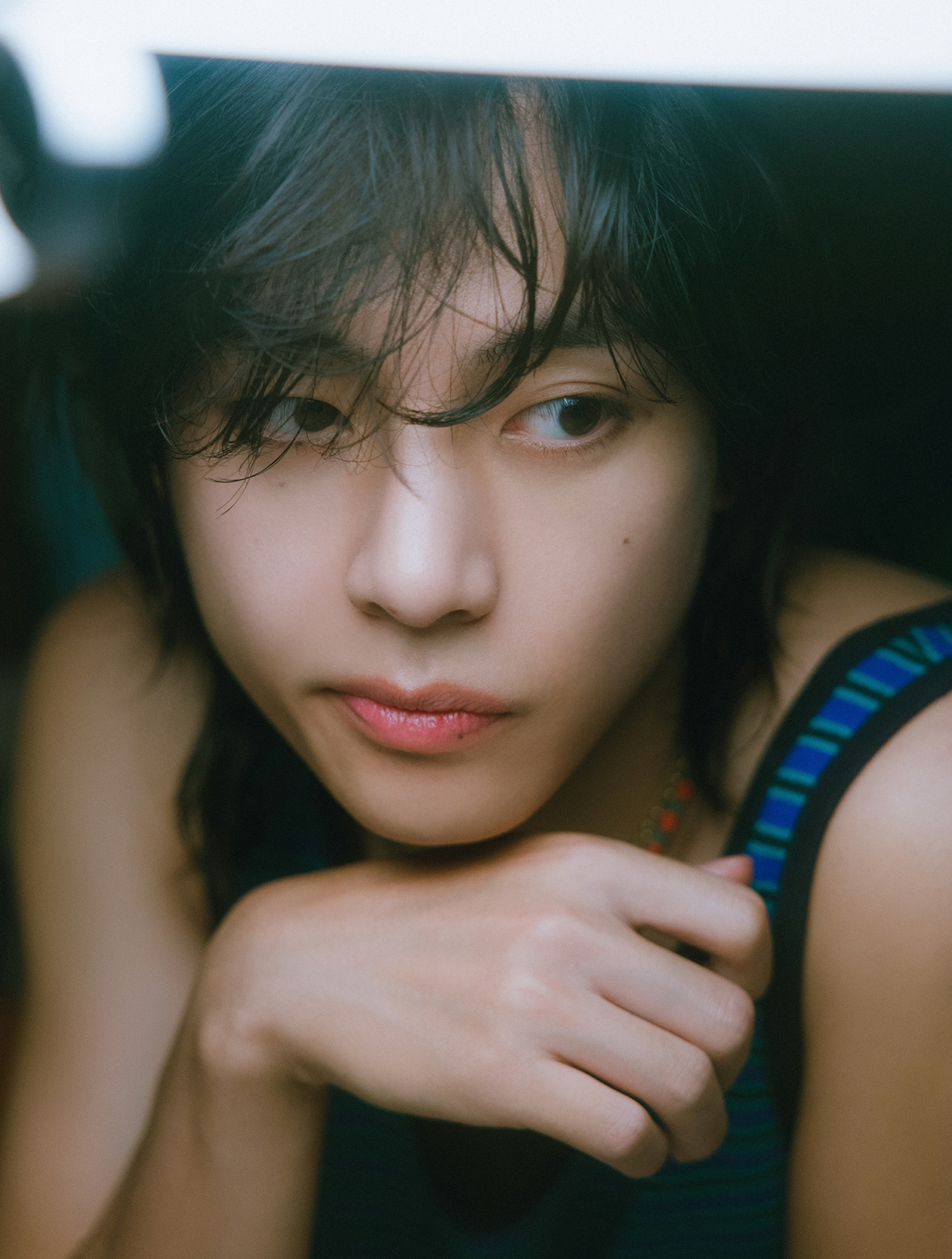 사진