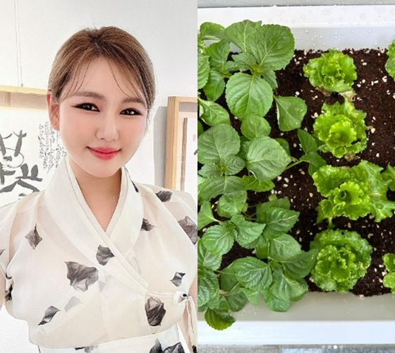 /사진=송가인