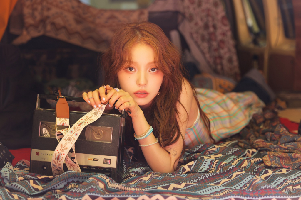 사진