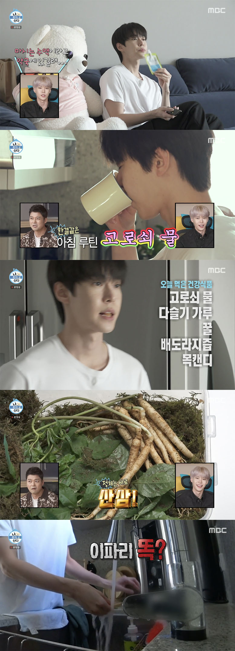 /사진='나혼자산다' 방송화면 캡쳐