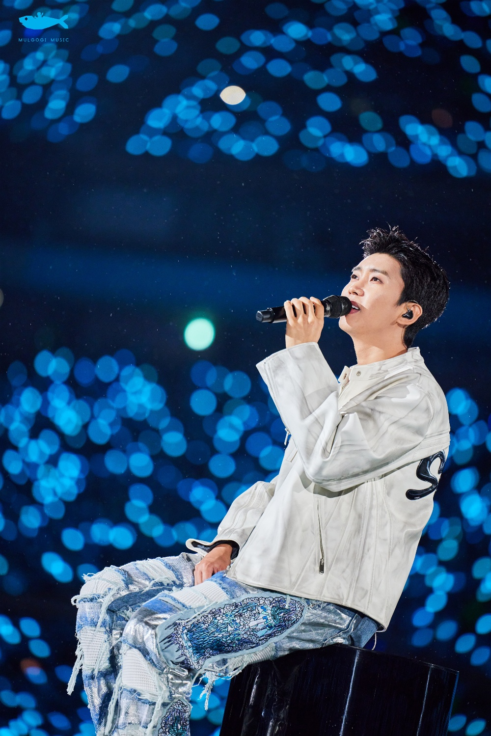 사진