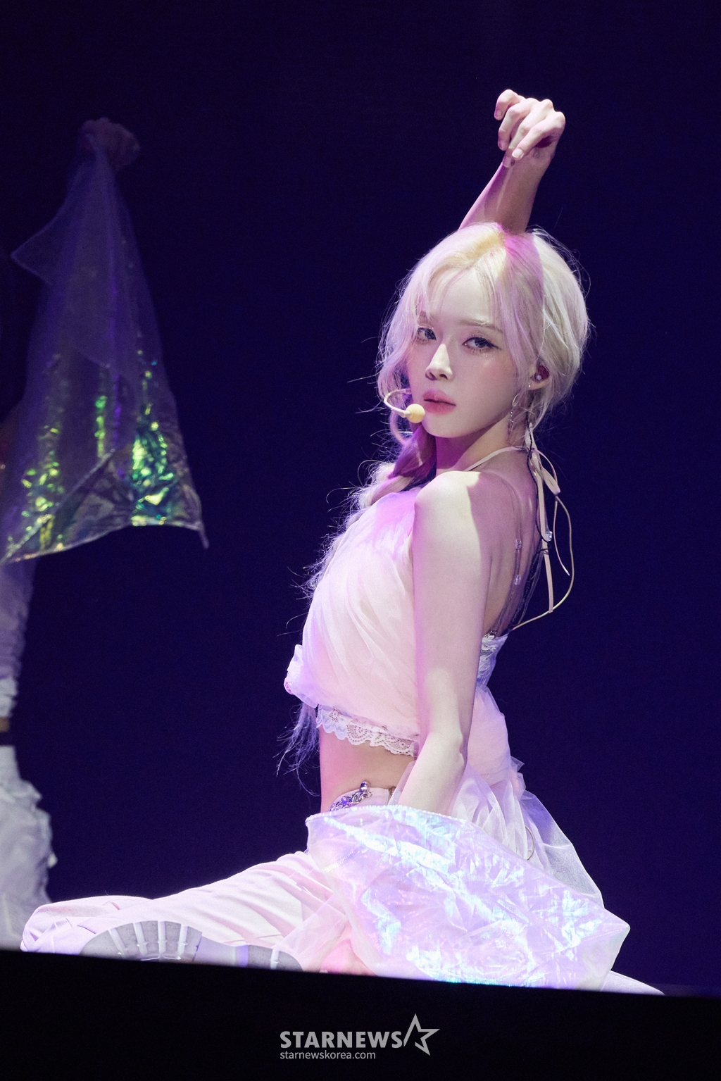 사진
