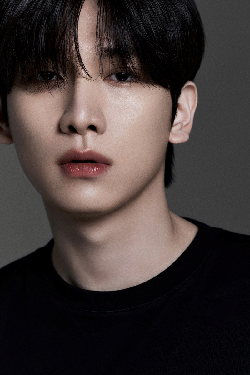 /사진제공=컴패니언컴퍼니