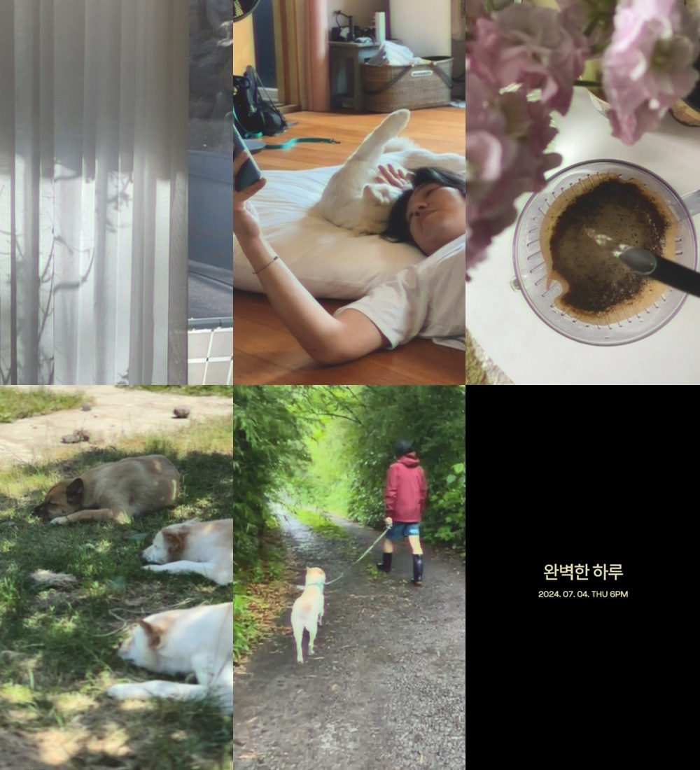 /사진=안테나