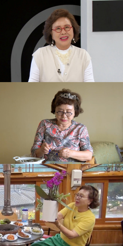 /사진제공=TV조선 '퍼펙트 라이프'