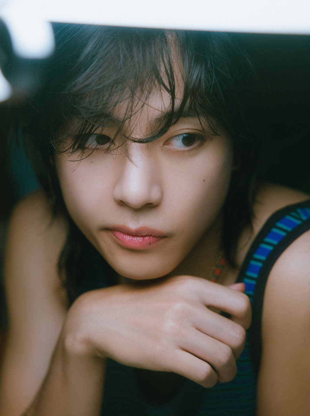 사진