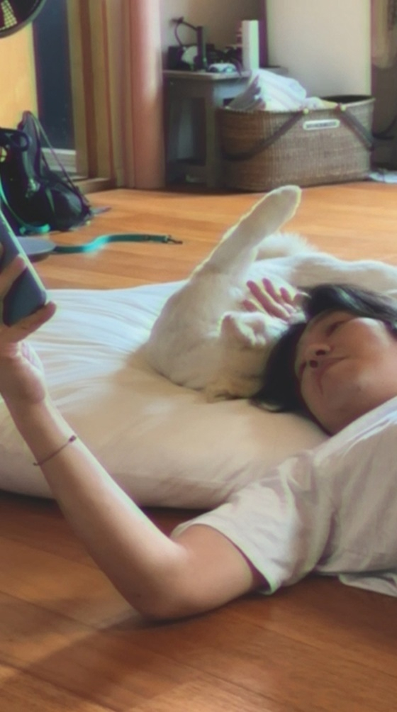 /사진제공=안테나