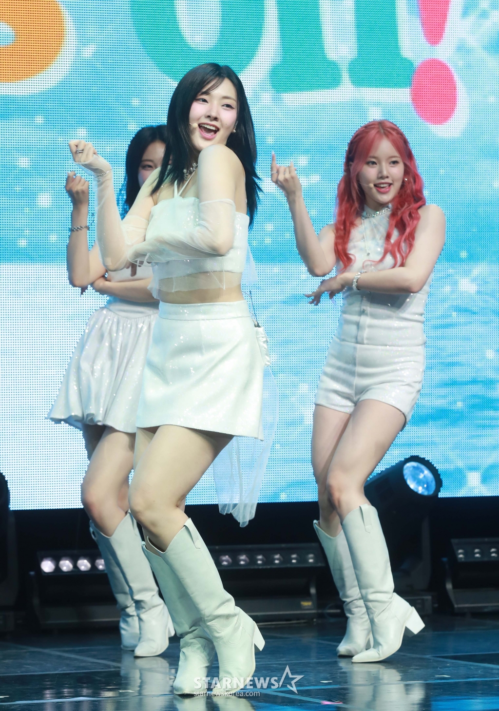 사진