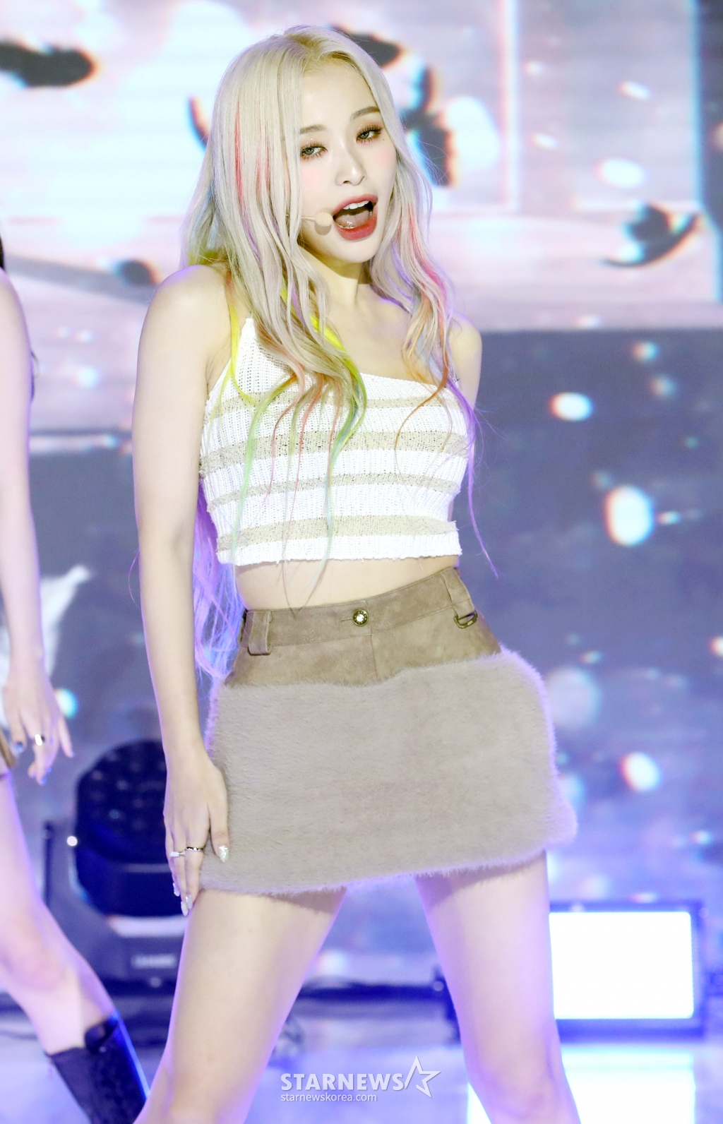 사진