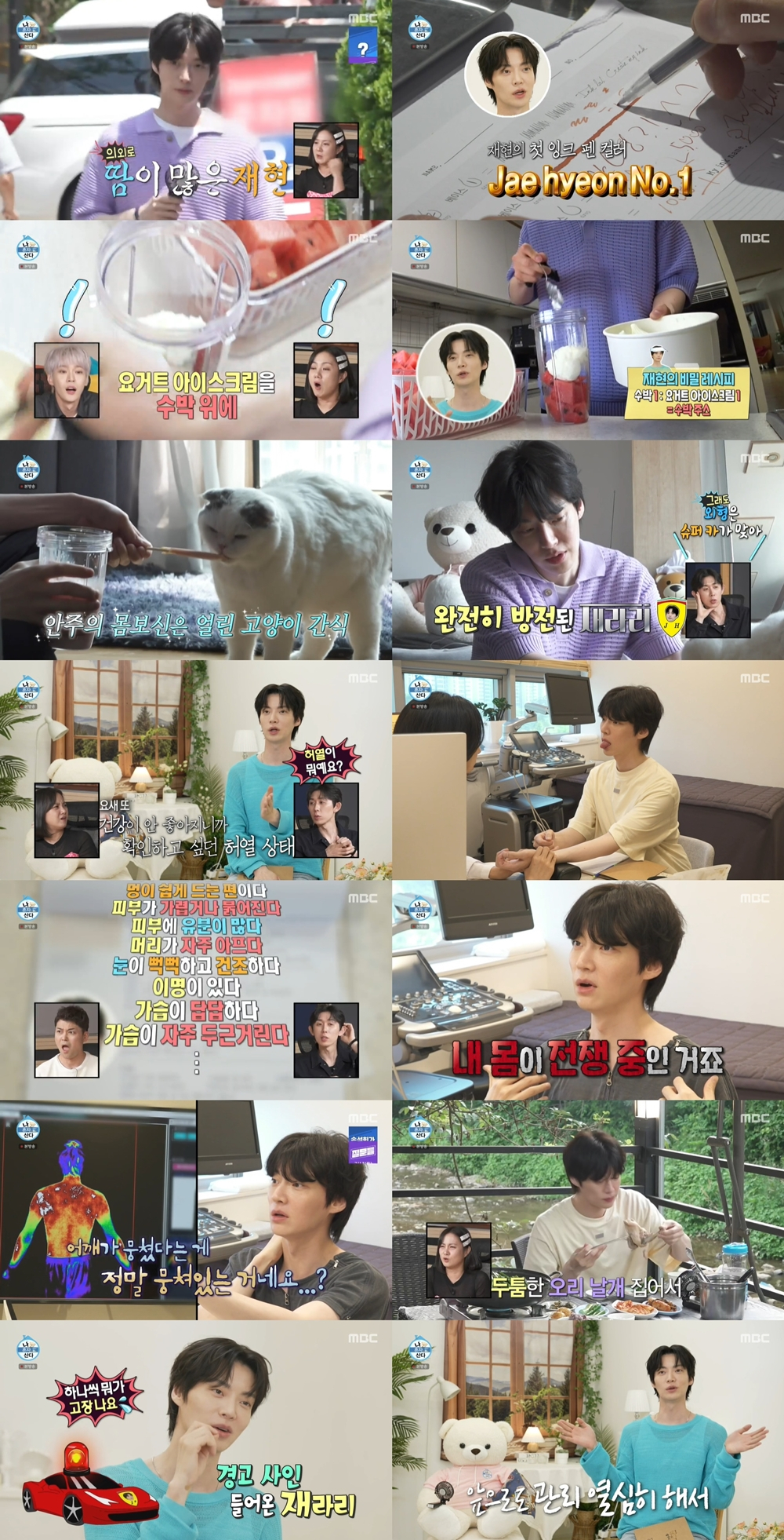 안재현 / 사진=MBC 나 혼자 산다