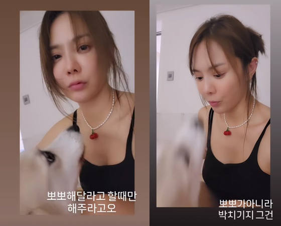 /사진=유하나