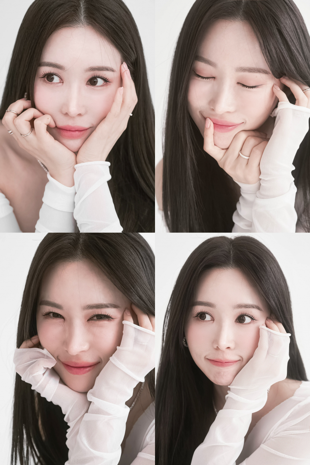 사진