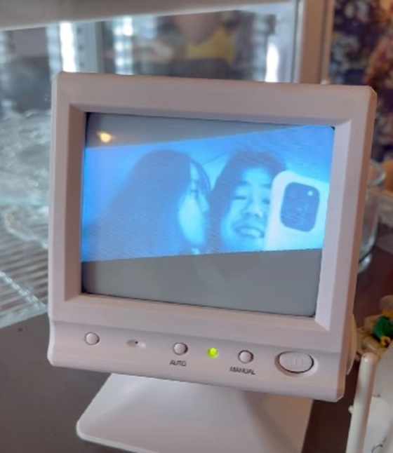 /사진=이효리 SNS