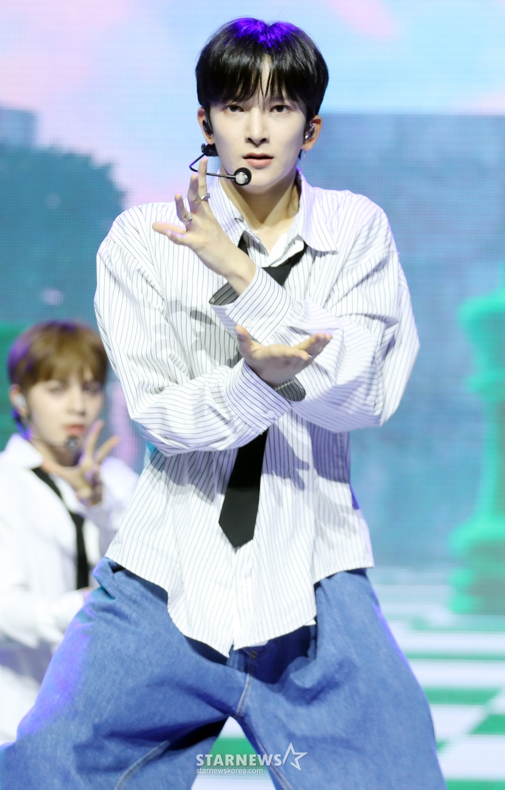 사진