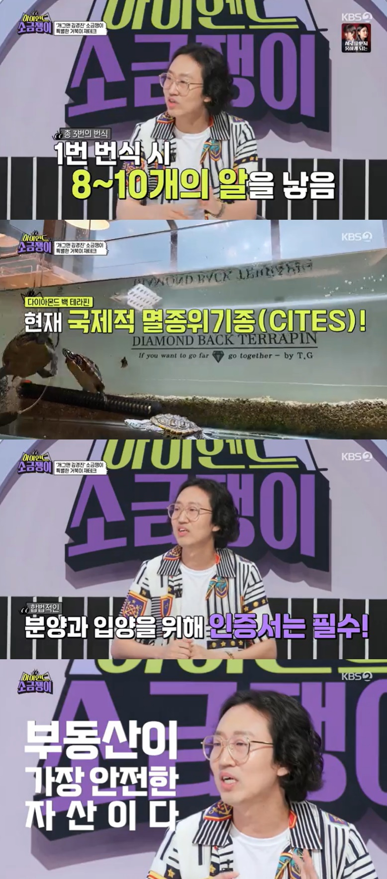 /사진=KBS 2TV '하이엔드 소금쟁이' 방송 캡처