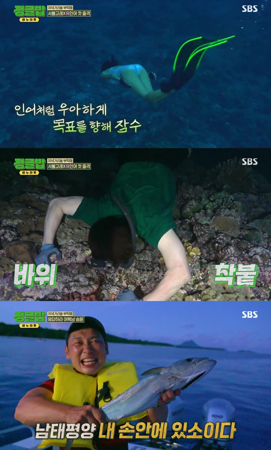 /사진='정글밥' 방송 화면
