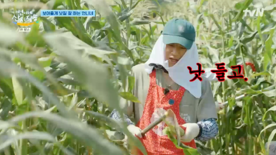 /사진=tvN 방송화면