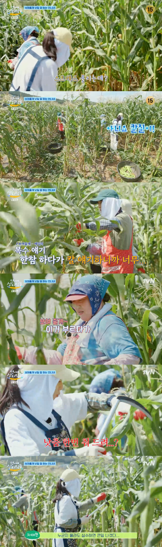 /사진=tvN 방송화면