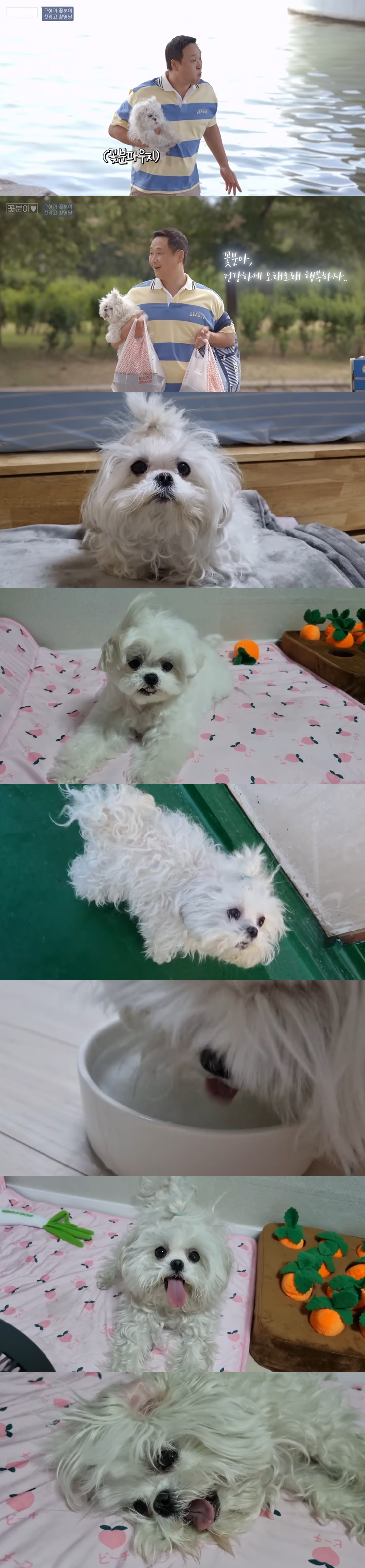/사진=유튜브 채널 '꽃분이' 영상 캡처