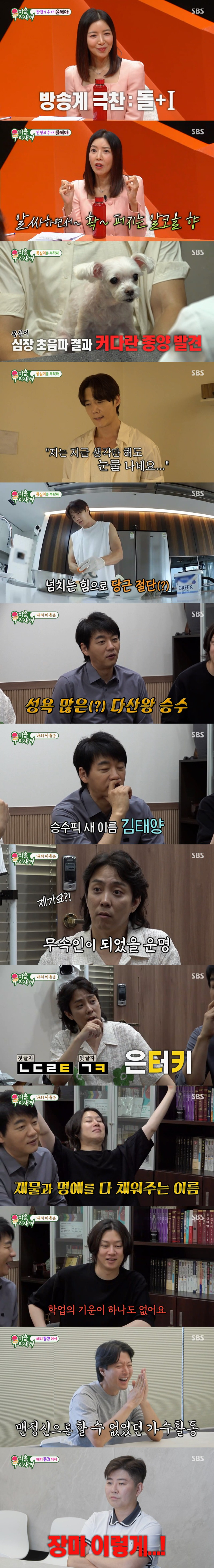 사진=SBS 미운 우리 새끼