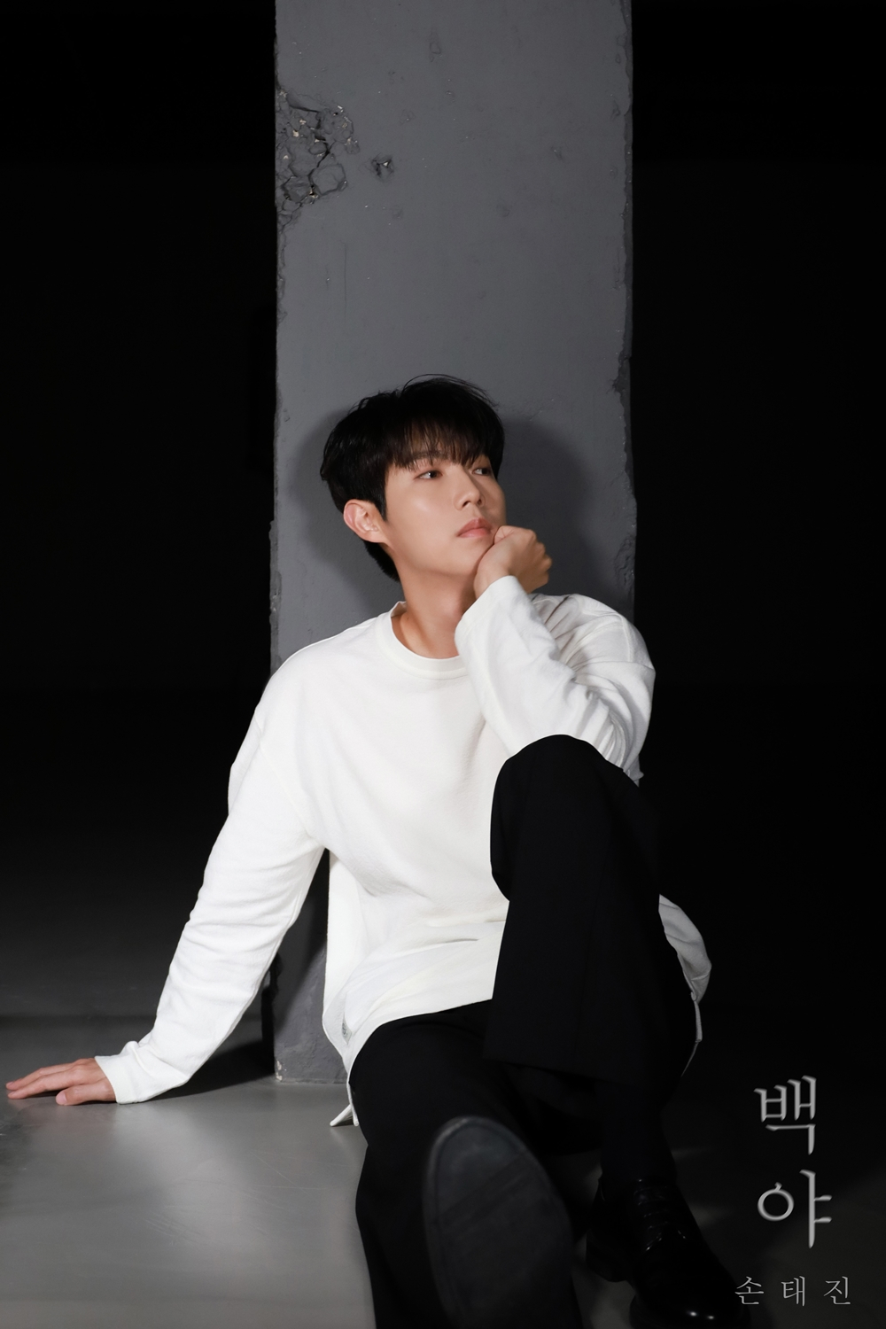 사진