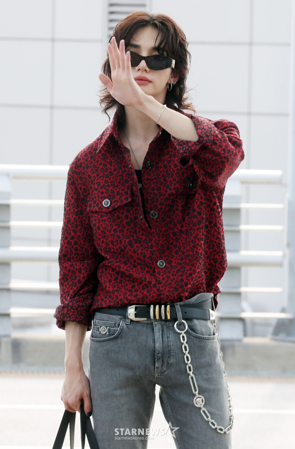 사진