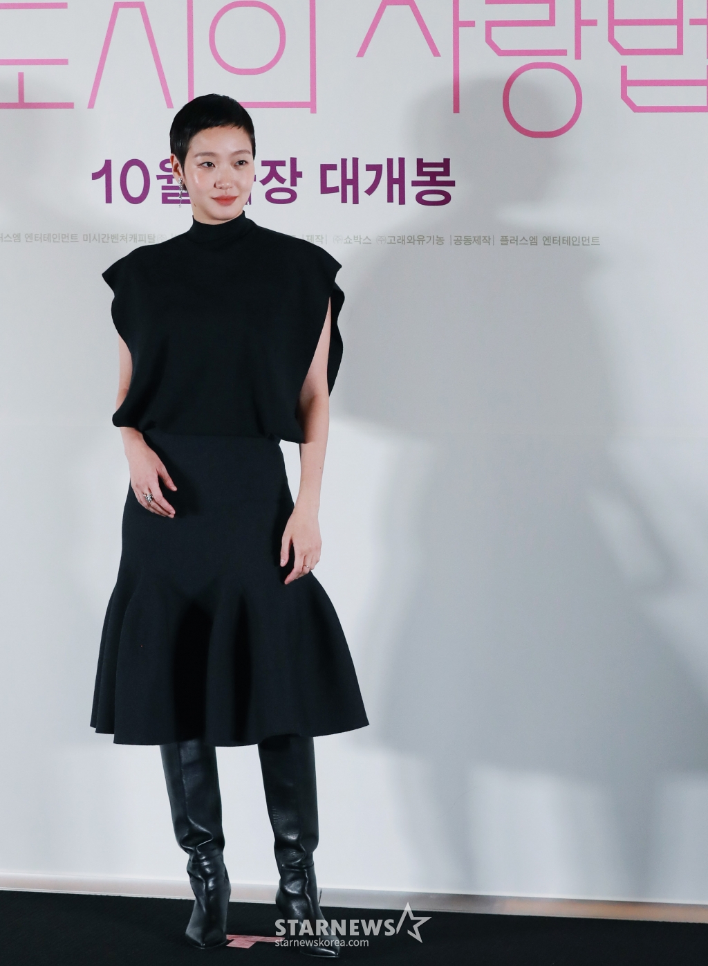 사진