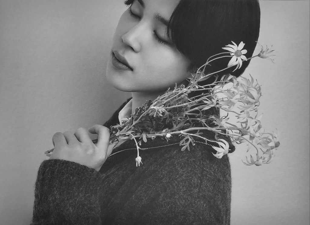 사진