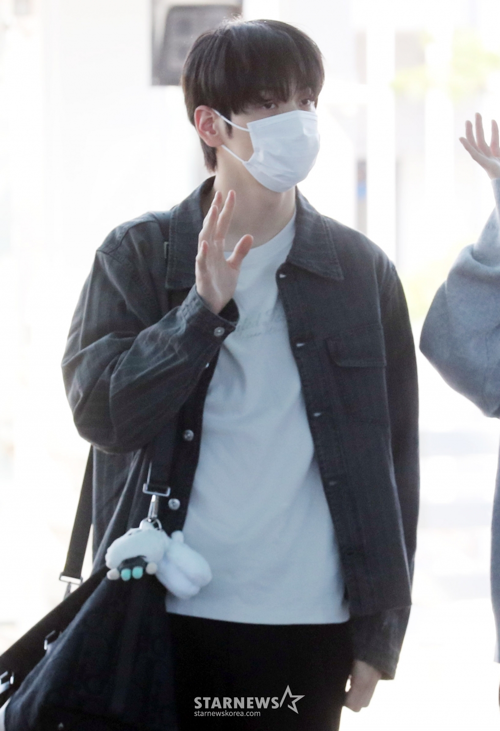 사진