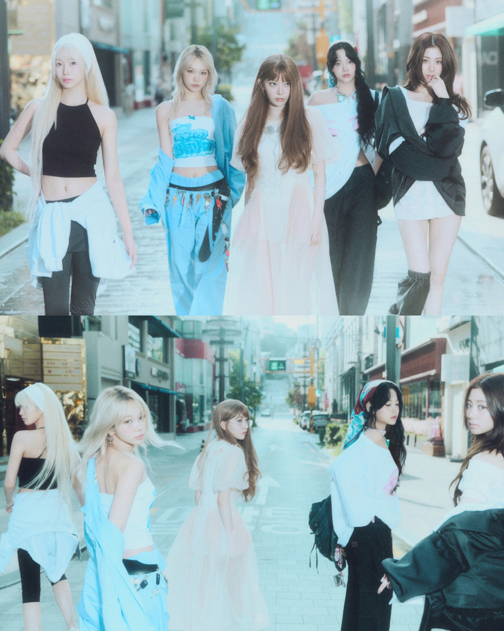 사진