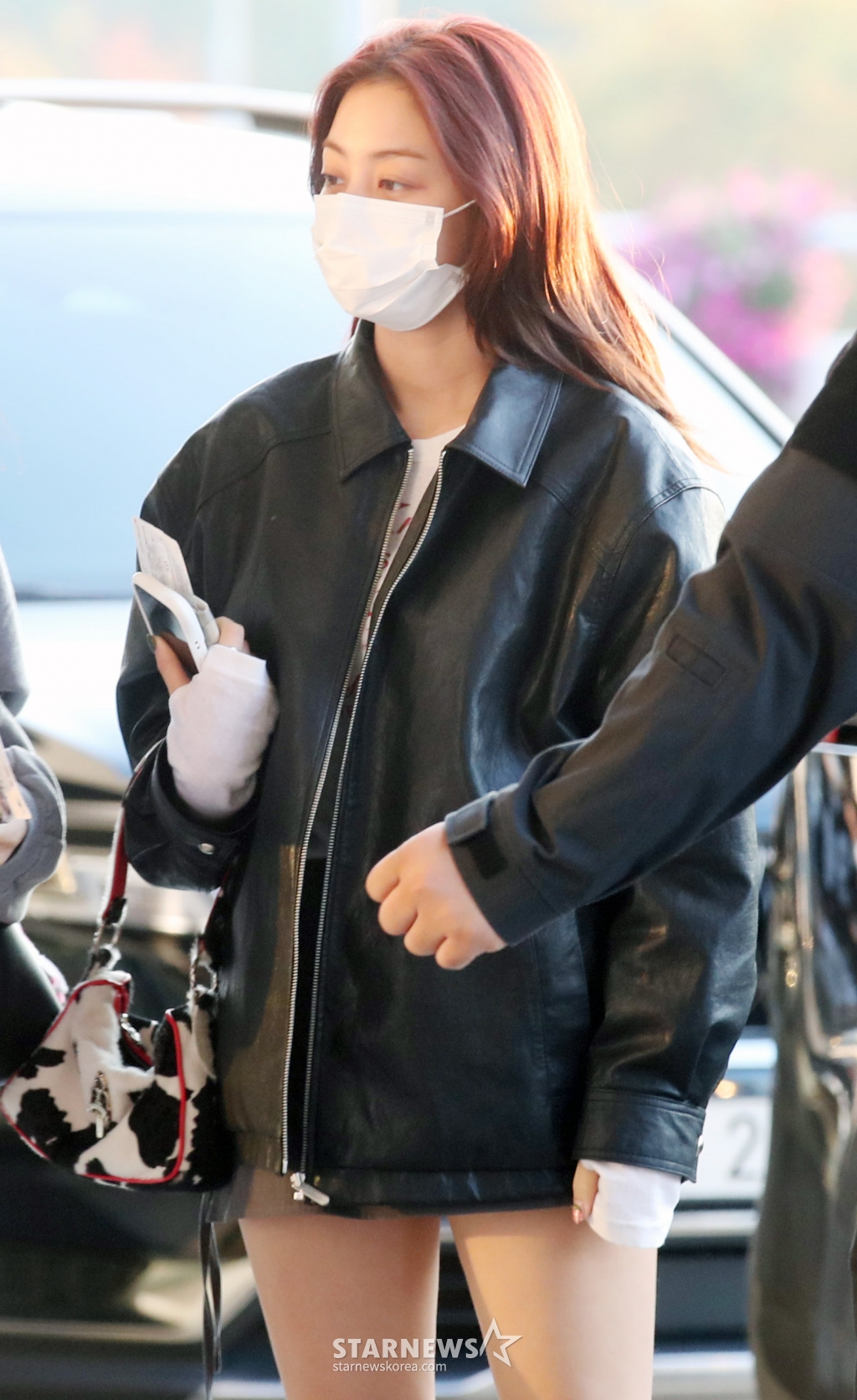 사진