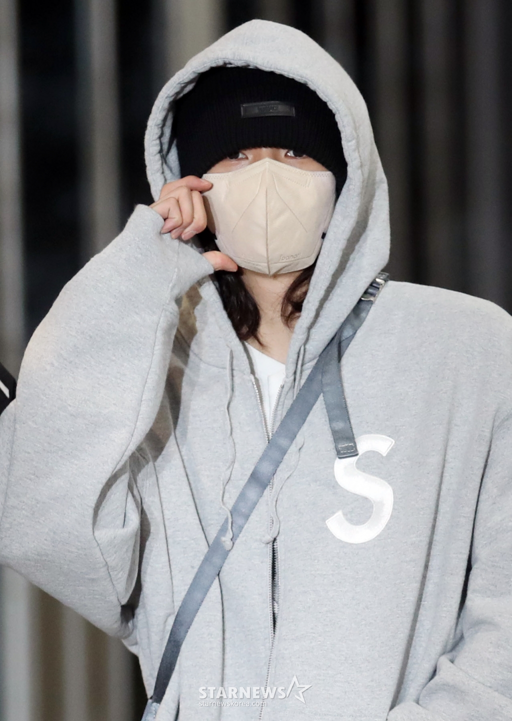 사진
