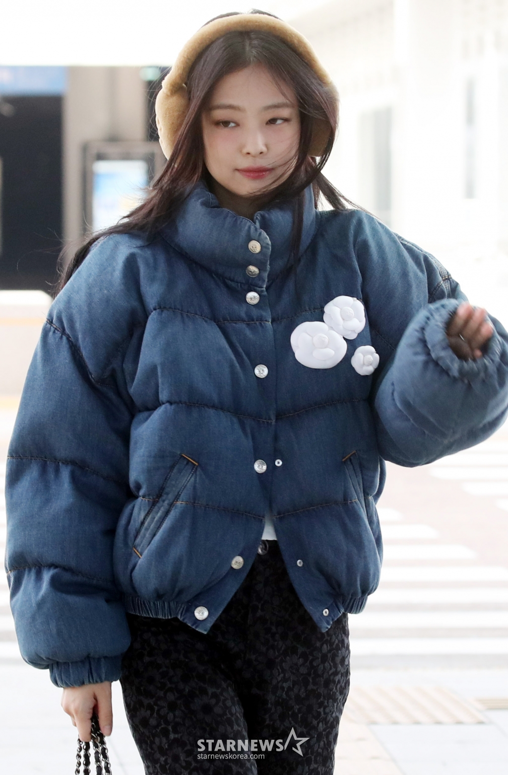 사진