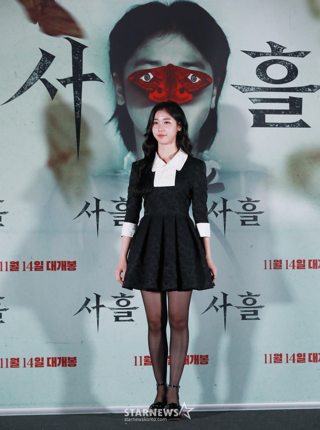 사진