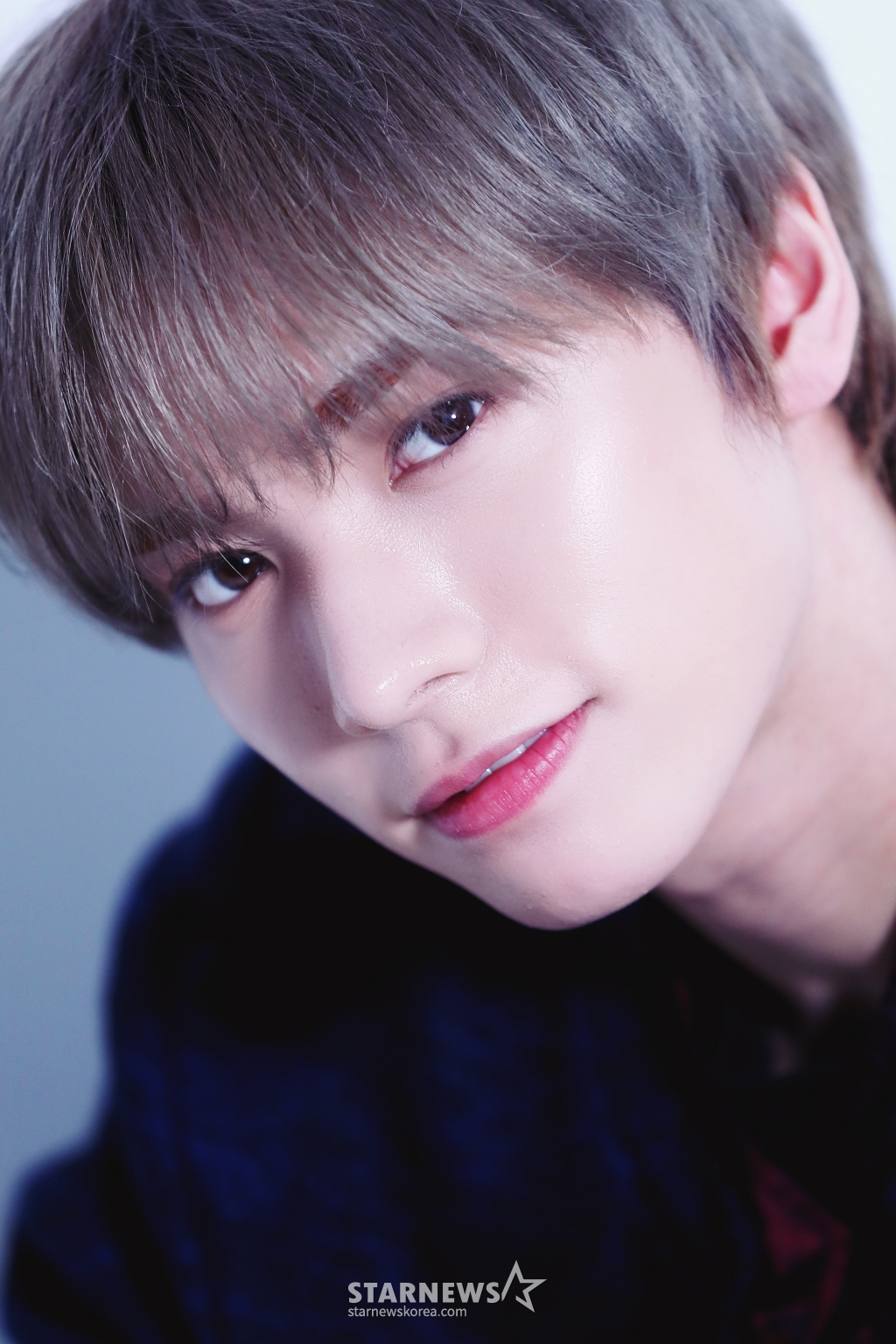 사진