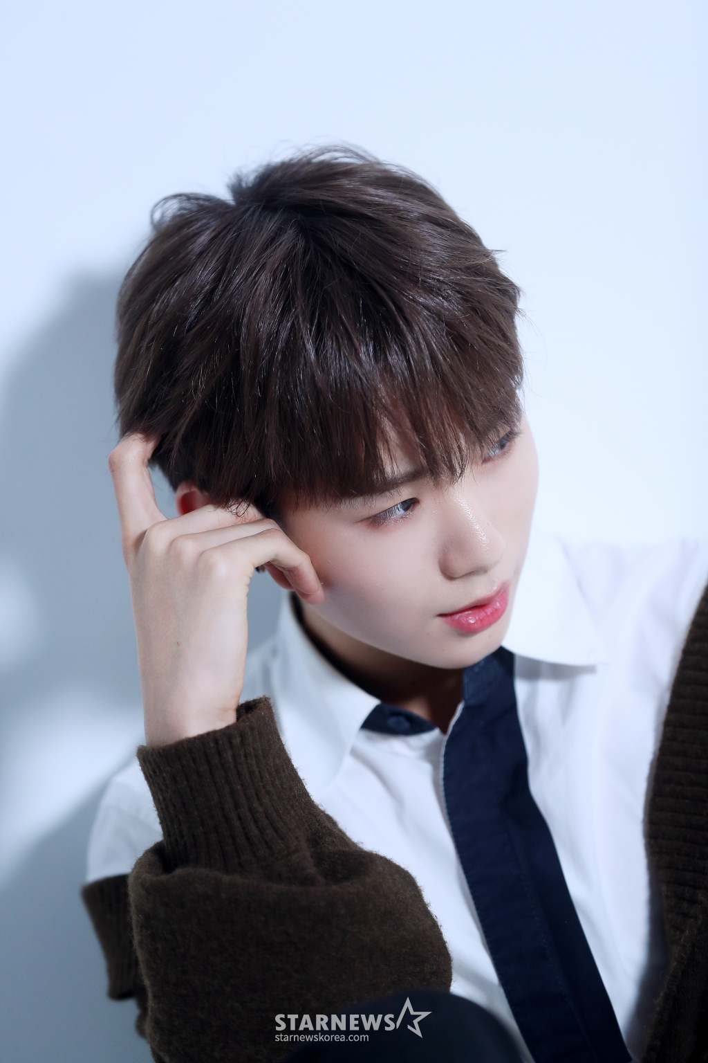 사진