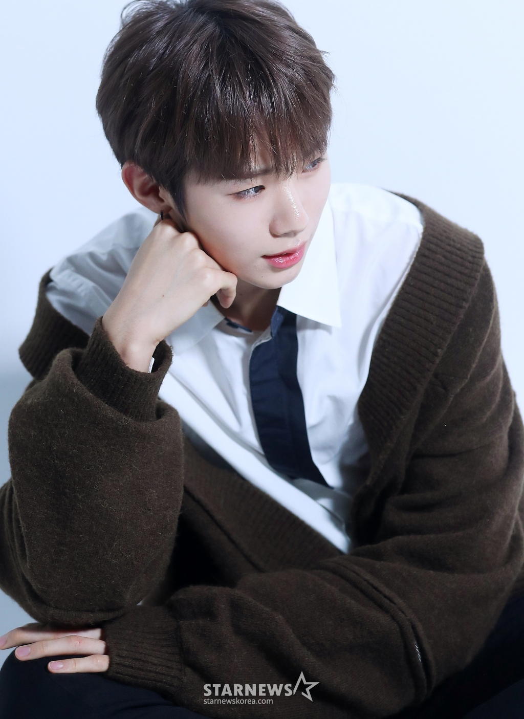 사진