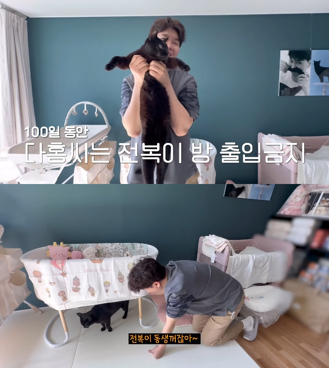 박수홍 / 사진=유튜브 채널 박수홍 행복해다홍