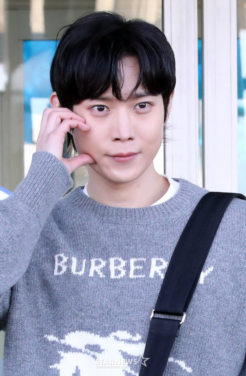 사진