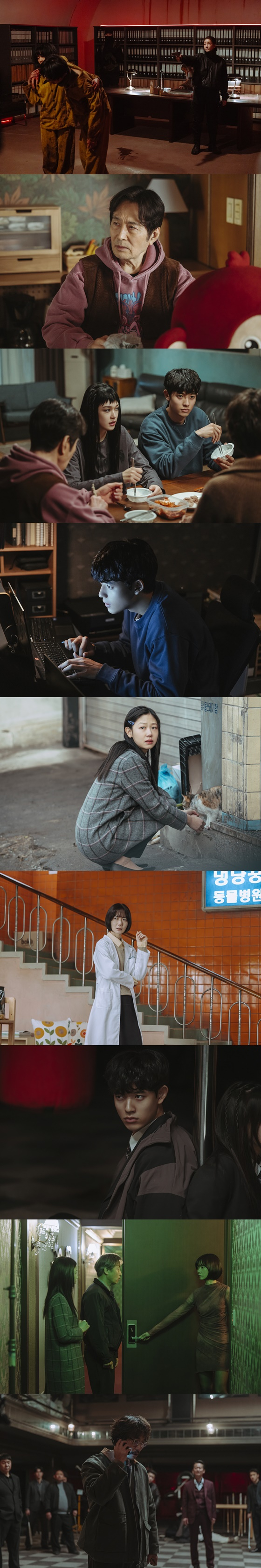 사진