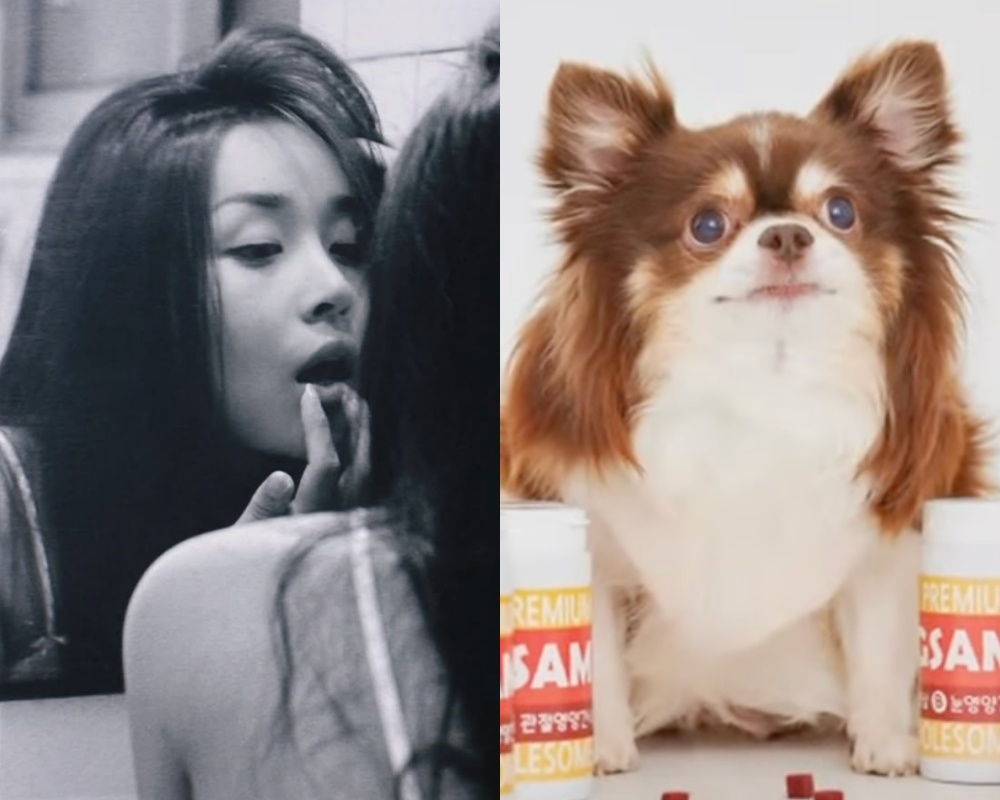 /사진=하리수 인스타그램