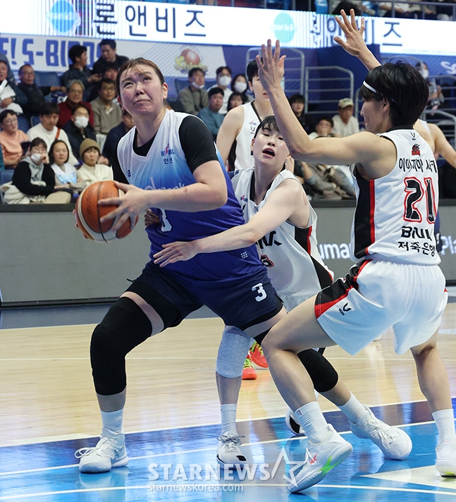 사진