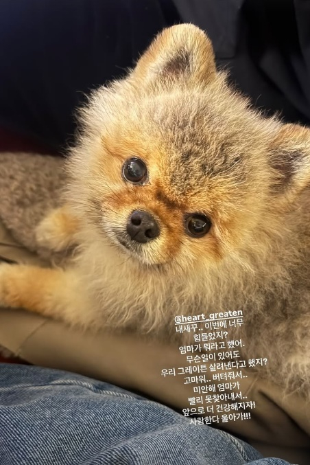 /사진=이다해
