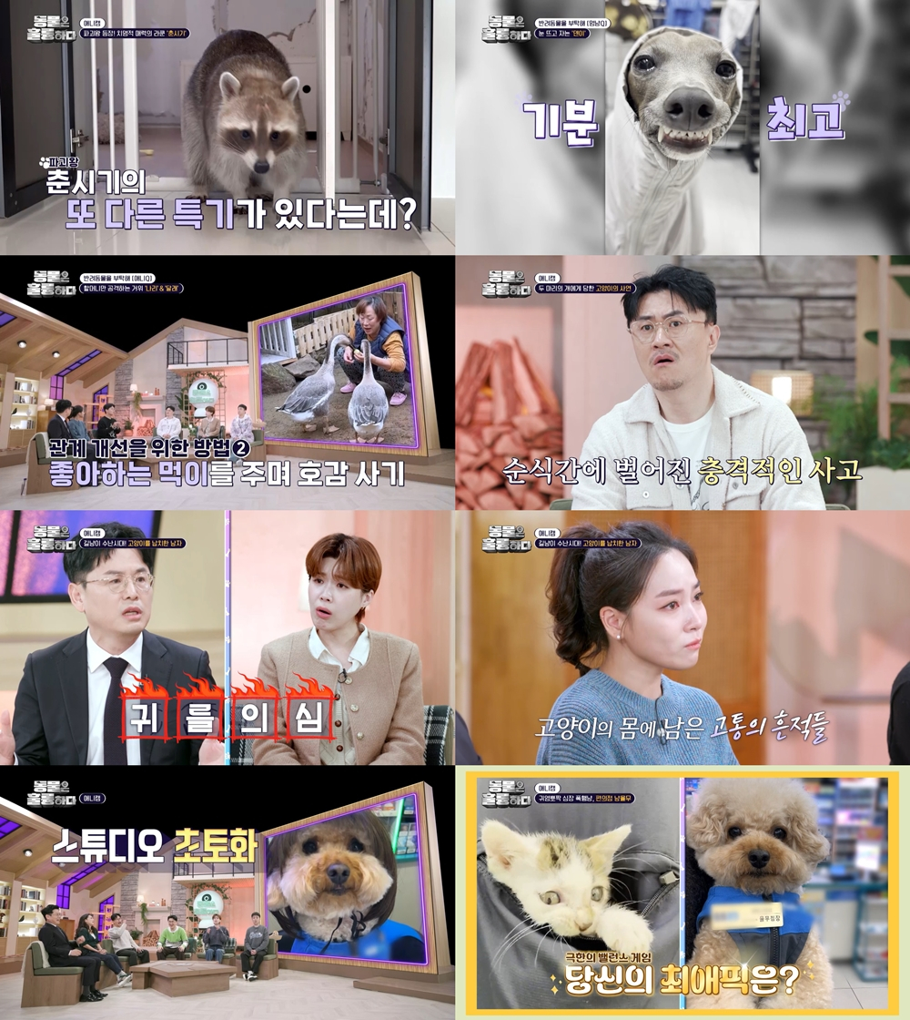 /사진='동물은 훌륭하다' 방송 화면