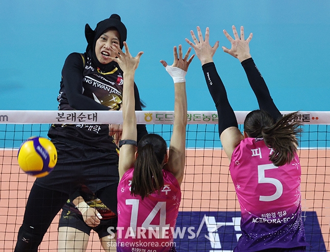 사진